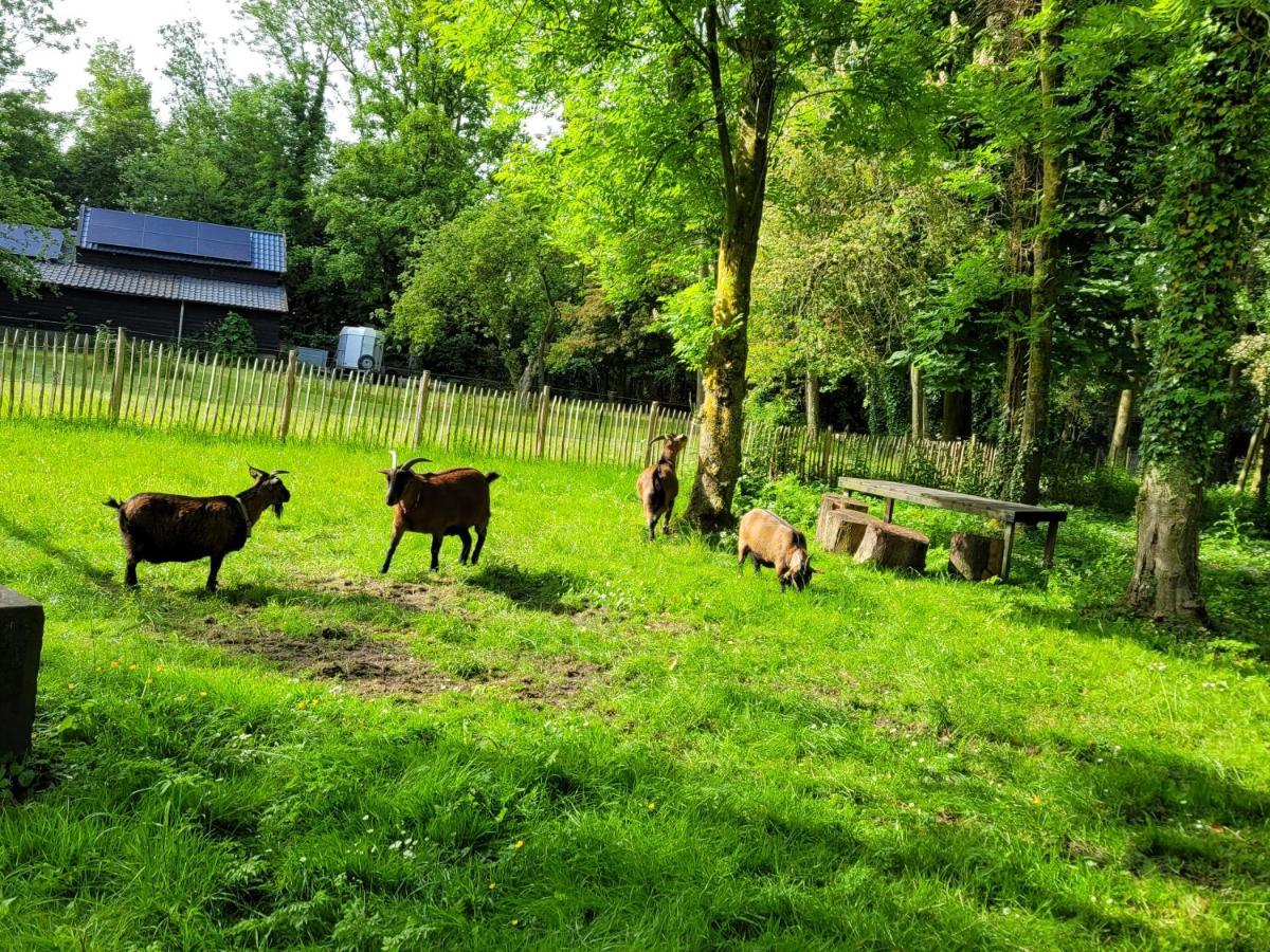 Bed and Breakfast Pastorie Waaxens Zewnętrze zdjęcie